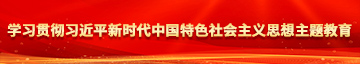 搞鸡巴网站学习贯彻习近平新时代中国特色社会主义思想主题教育